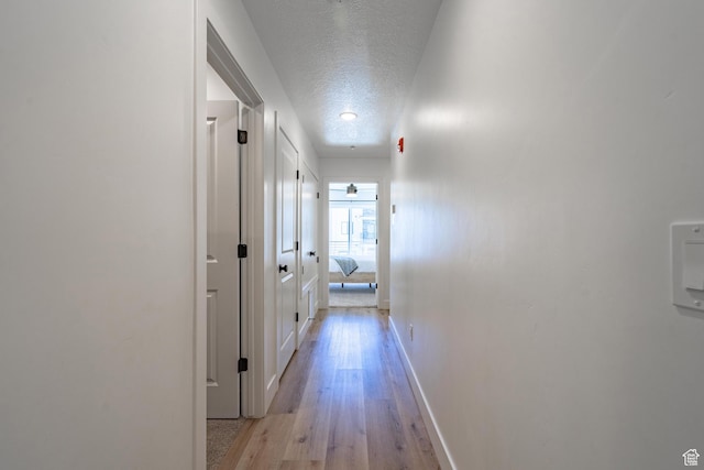 5399 S Cerulean Ln Unit 95, St George, UT 84790 - hall with baseboards, a textured ceiling, and light wood-style flooring
