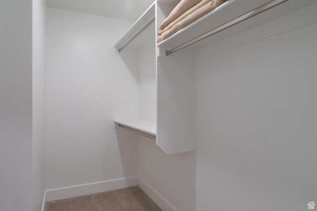 5399 S Cerulean Ln Unit 95, St George, UT 84790 - spacious closet with carpet flooring