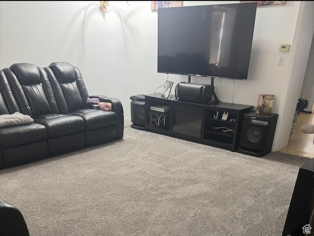 living room featuring carpet flooring