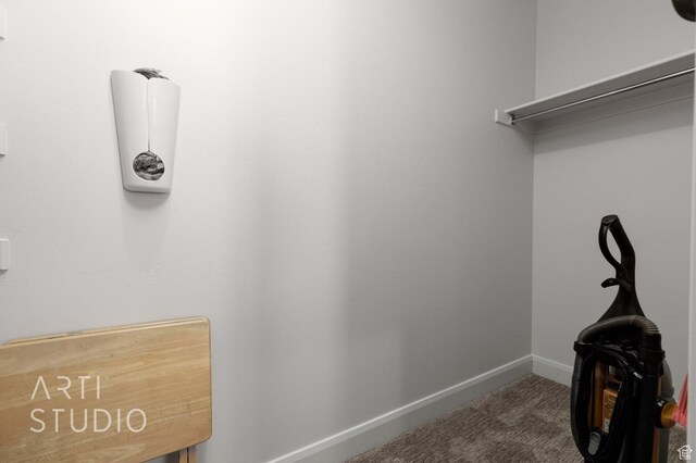 walk in closet with carpet floors