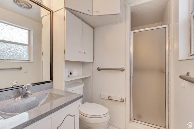 bathroom with toilet, vanity, and a stall shower