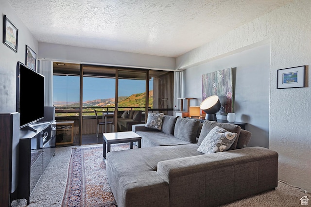 3125 E Kennedy Dr S Unit 605, Salt Lake City, UT 84108 - carpeted living area with a textured ceiling and a textured wall