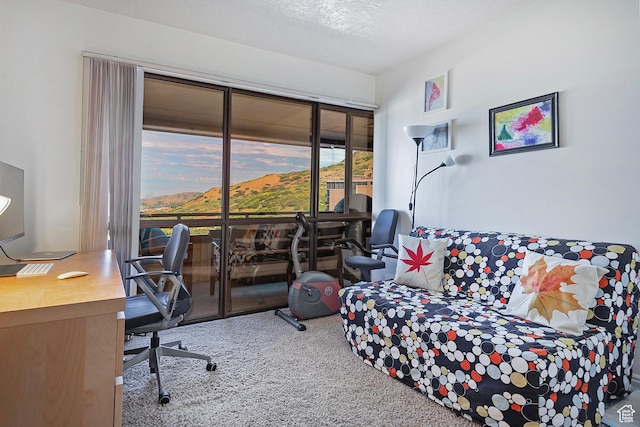 3125 E Kennedy Dr S Unit 605, Salt Lake City, UT 84108 - home office with carpet floors and a textured ceiling