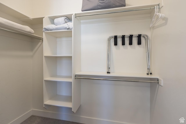 429 N 600 W, Moab, UT 84532 - view of spacious closet