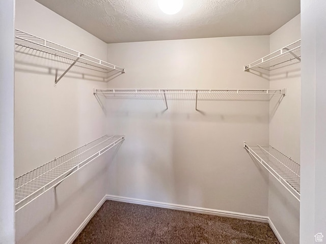 5262 W Cool Water Way, West Jordan, UT 84081 - walk in closet featuring carpet