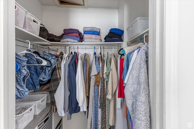 view of spacious closet