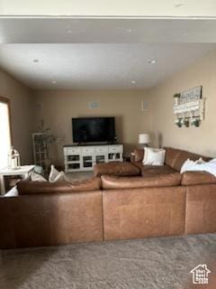4190 W Delray N Unit 39, Vernal, UT 84078 - view of carpeted living room