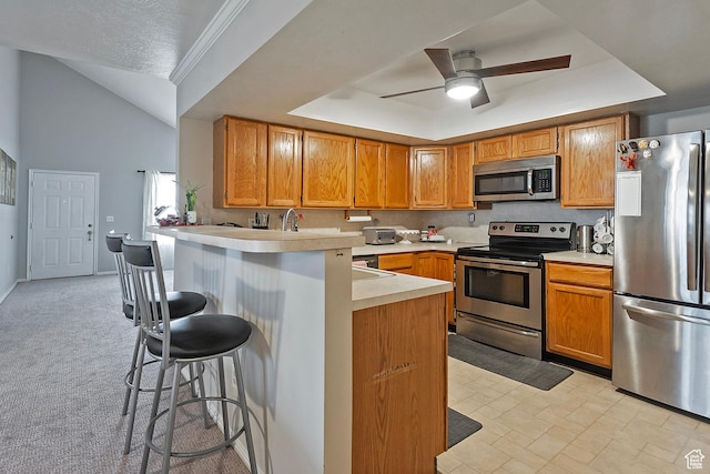1077 E Deerwalk Ln S, Ogden, UT 84404 - kitchen with light countertops, a peninsula, appliances with stainless steel finishes, a tray ceiling, and a kitchen breakfast bar