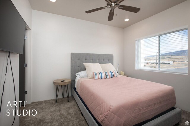 76 E 450 N, Ephraim, UT 84627 - carpeted bedroom with ceiling fan and recessed lighting