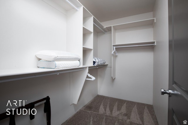 76 E 450 N, Ephraim, UT 84627 - walk in closet featuring carpet floors