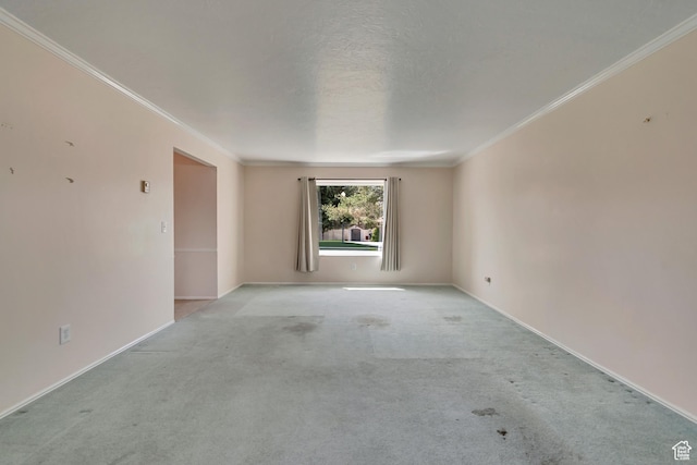 spare room featuring ornamental molding, baseboards, light carpet, and a textured ceiling