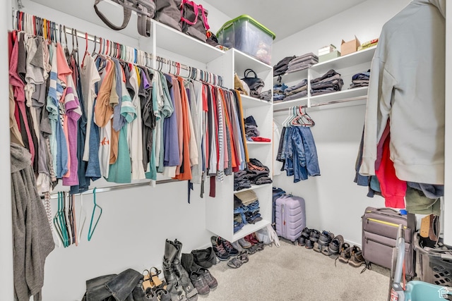 16132 S Coupler Ln Unit 406, Bluffdale, UT 84065 - walk in closet with carpet floors