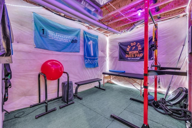 16132 S Coupler Ln Unit 406, Bluffdale, UT 84065 - workout room with carpet flooring