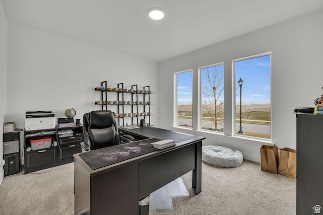 16132 S Coupler Ln Unit 406, Bluffdale, UT 84065 - office with carpet flooring