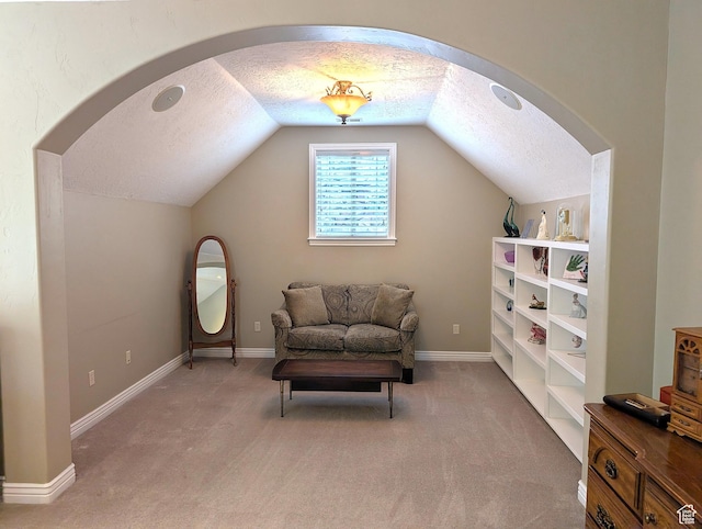 2524 E 700 S, Springville, UT 84663 - living area featuring light carpet, baseboards, lofted ceiling, and a textured ceiling