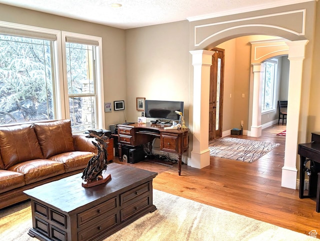2524 E 700 S, Springville, UT 84663 - living area featuring arched walkways, ornate columns, light wood finished floors, and a wealth of natural light