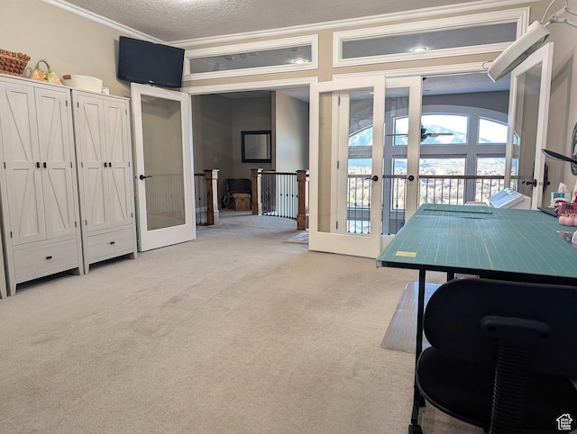 2524 E 700 S, Springville, UT 84663 - playroom with carpet floors, ornamental molding, french doors, and a textured ceiling