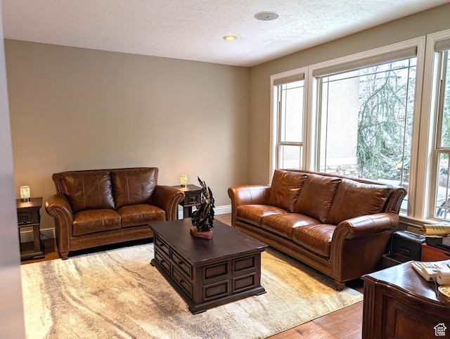 2524 E 700 S, Springville, UT 84663 - living area with baseboards, light wood finished floors, and a textured ceiling