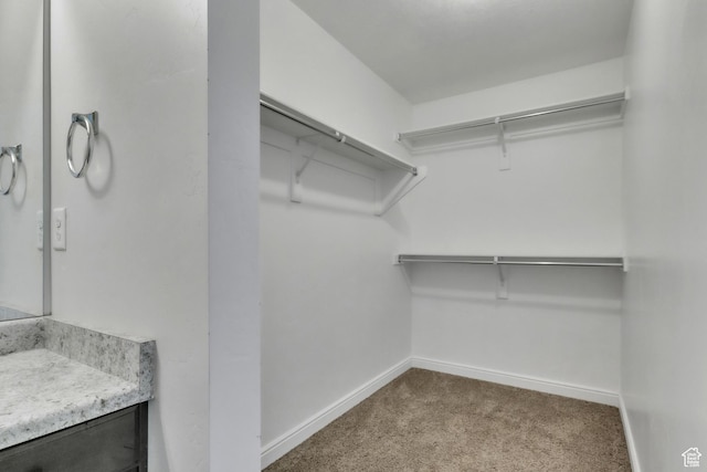 14292 S Autumn Path Ln W, Riverton, UT 84096 - walk in closet with carpet