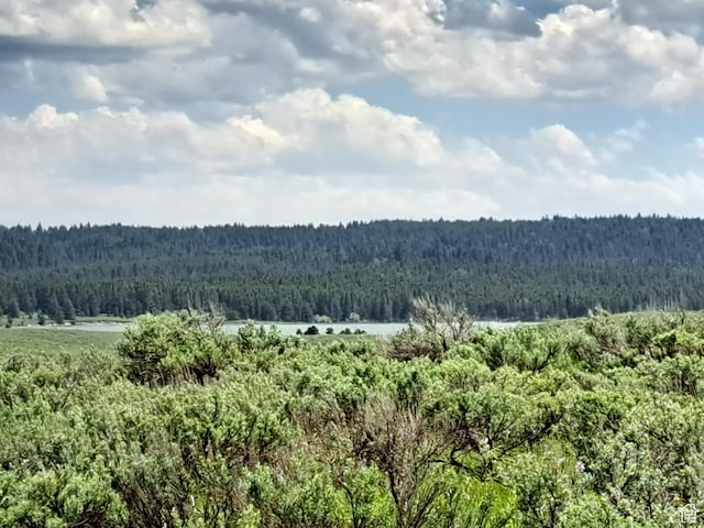 3380 Eagles Rd Lot 33, Island Park, ID 83429