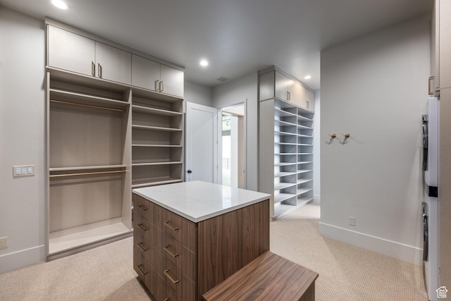 13926 S Jarvie Ln E, Draper, UT 84020 - spacious closet with light carpet