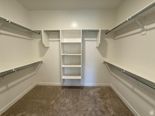 6 S 3830 W Unit 417, West Point, UT 84015 - spacious closet with carpet floors