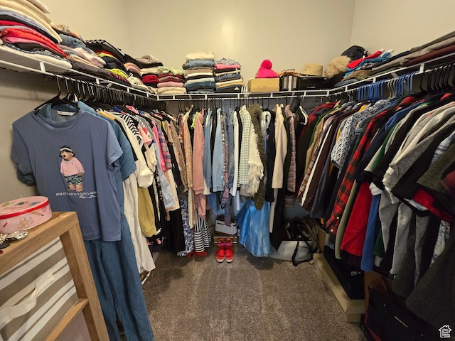 15 W Seasons Dr, Vineyard, UT 84059 - spacious closet with carpet