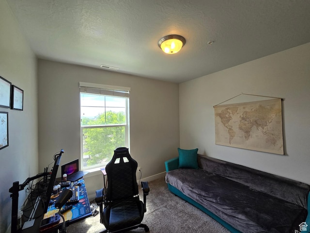 15 W Seasons Dr, Vineyard, UT 84059 - office area with carpet flooring