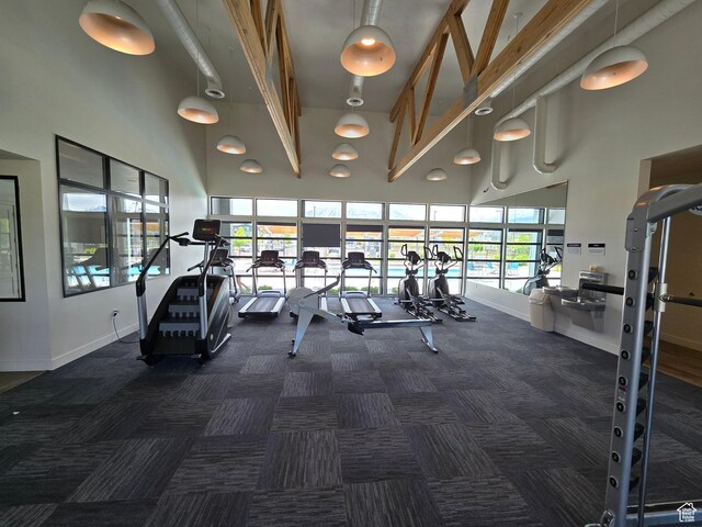 15 W Seasons Dr, Vineyard, UT 84059 - exercise room featuring a high ceiling, carpet floors, and baseboards