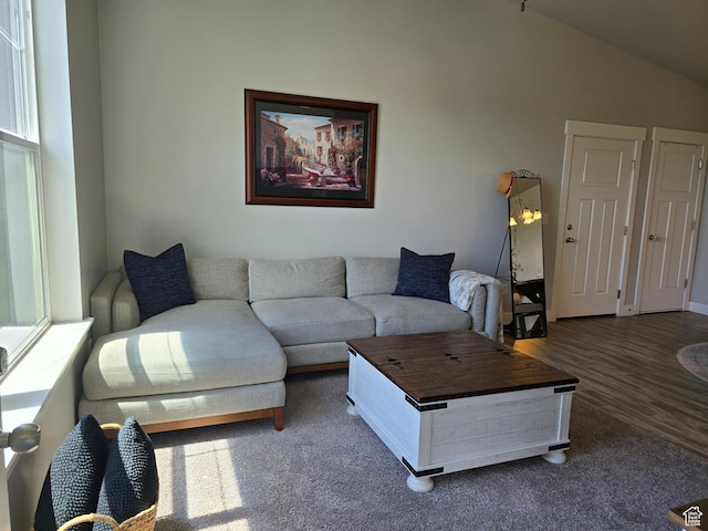 15 W Seasons Dr, Vineyard, UT 84059 - living area with dark wood-type flooring and lofted ceiling