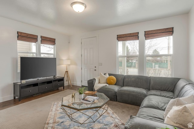 living room featuring baseboards and wood finished floors