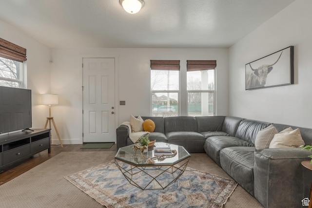 living area with baseboards and wood finished floors