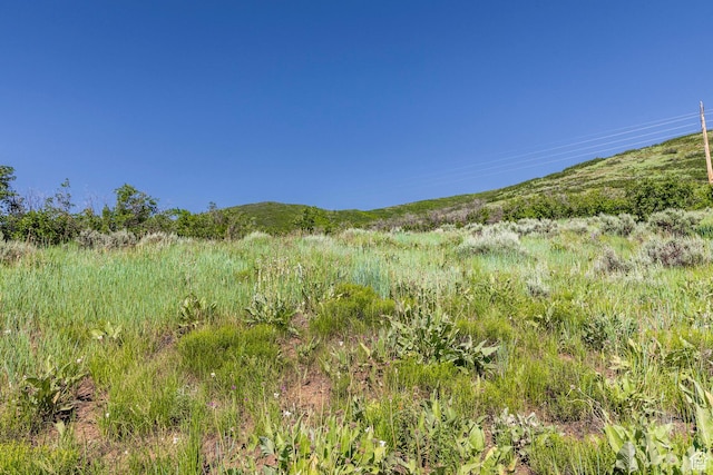 926 S Upland Loop Unit 20, Midway, UT 84049 - photo 9