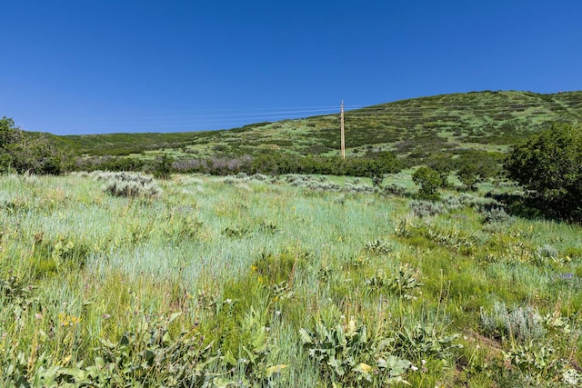 926 S Upland Loop Unit 20, Midway, UT 84049 - photo 4