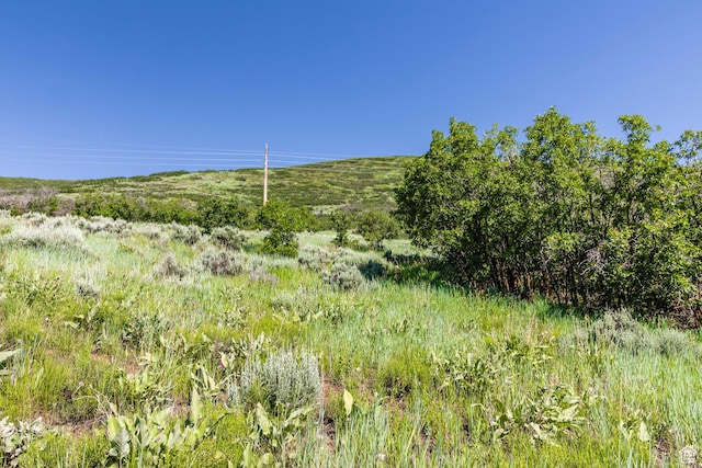 926 S Upland Loop Unit 20, Midway, UT 84049 - photo 8