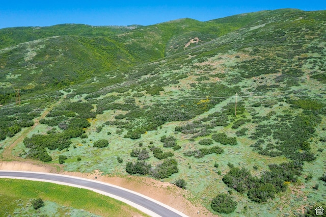 926 S Upland Loop Unit 20, Midway, UT 84049 - photo 21