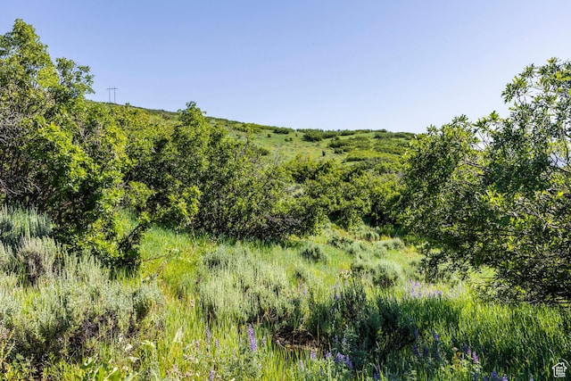 926 S Upland Loop Unit 20, Midway, UT 84049 - photo 7