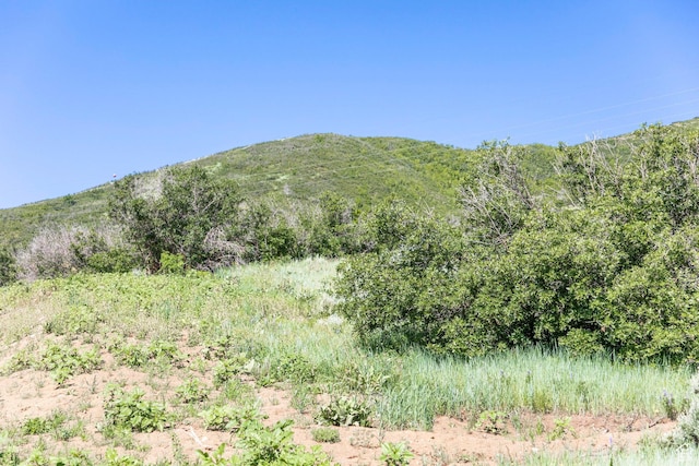 926 S Upland Loop Unit 20, Midway, UT 84049 - photo 18
