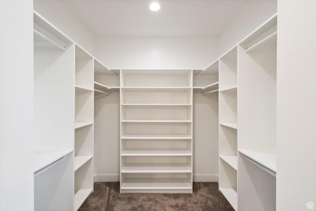spacious closet with carpet flooring
