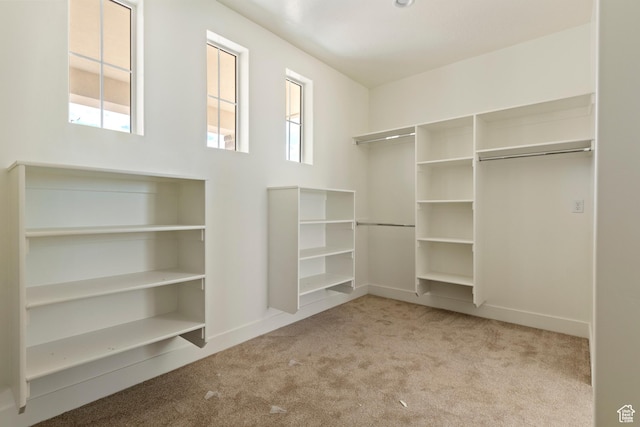 4416 W 1900 S, Cedar City, UT 84720 - spacious closet with carpet floors