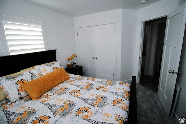 13207 S Weatherford Ln W, Herriman, UT 84096 - bedroom with a closet and carpet flooring