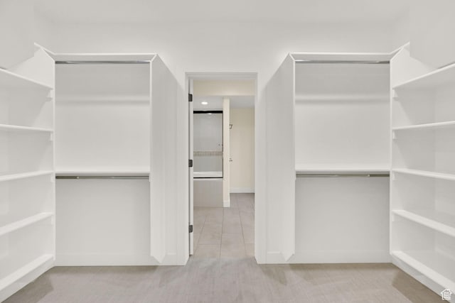 3059 S Lola Cir, Millcreek, UT 84109 - view of spacious closet