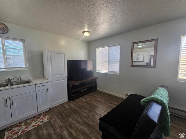 345 E 800 N, Duchesne, UT 84021 - living room featuring baseboards, a textured ceiling, baseboard heating, and dark wood finished floors