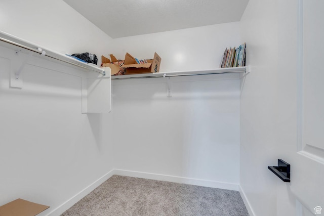1031 S 950 W, American Fork, UT 84003 - spacious closet with carpet floors