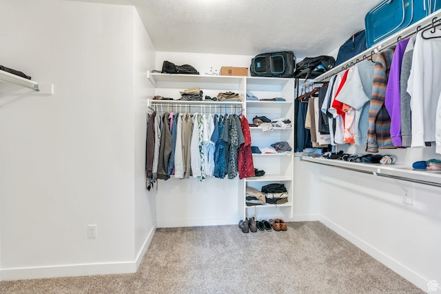 1031 S 950 W, American Fork, UT 84003 - spacious closet featuring carpet floors