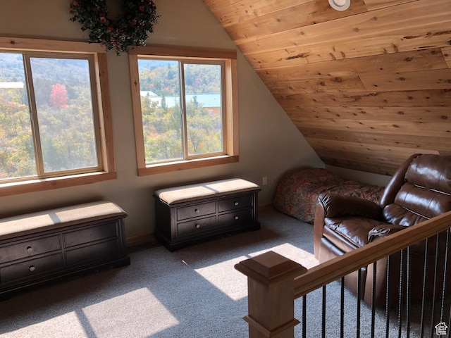 11741 E 14330 N Unit 232, Mount Pleasant, UT 84647 - living area with carpet flooring, lofted ceiling, and wooden ceiling