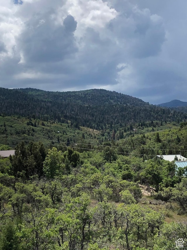 11741 E 14330 N Unit 232, Mount Pleasant, UT 84647 - view of mountain feature with a wooded view