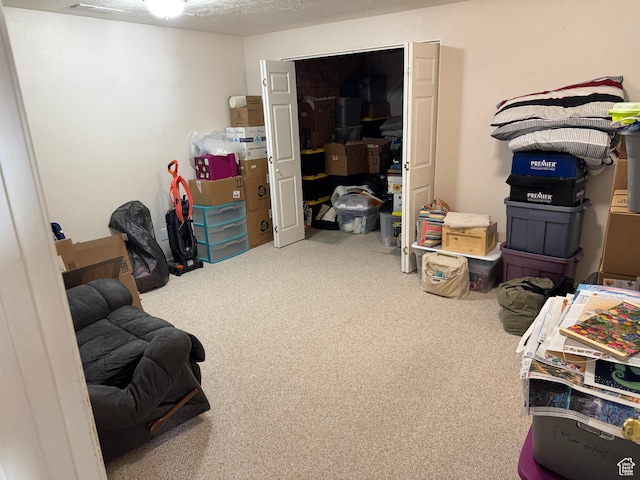 4625 W Harvey Blvd, Cedar Hills, UT 84062 - view of storage