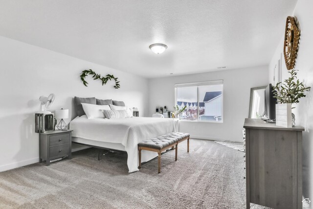 294 E Wren Hill Ln, Saratoga Springs, UT 84045 - photo 10