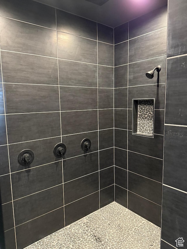 340 E 300 N, Moroni, UT 84646 - bathroom featuring tiled shower